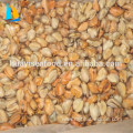 Factory Frozen cooked boiled HACCP ISO mussel meat